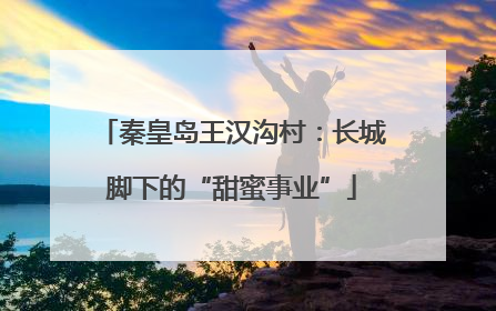 秦皇岛王汉沟村：长城脚下的“甜蜜事业”