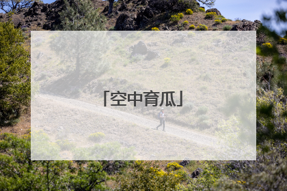 空中育瓜
