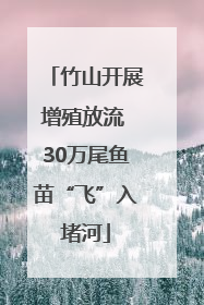 竹山开展增殖放流 30万尾鱼苗“飞”入堵河