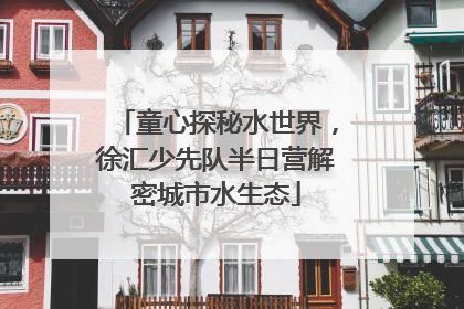 童心探秘水世界，徐汇少先队半日营解密城市水生态