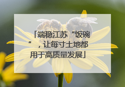 端稳江苏“饭碗”，让每寸土地都用于高质量发展