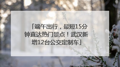端午出行，最短15分钟直达热门景点！武汉新增12台公交定制车