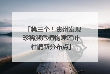 第三个！贵州发现珍稀濒危植物睡莲叶杜鹃新分布点