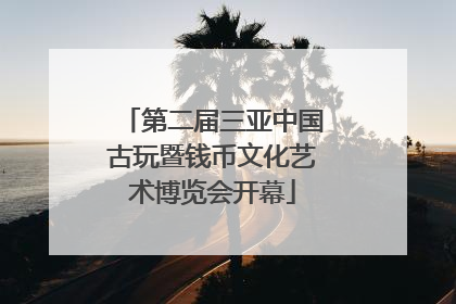 第二届三亚中国古玩暨钱币文化艺术博览会开幕