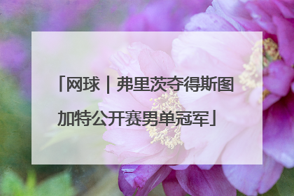 网球｜弗里茨夺得斯图加特公开赛男单冠军