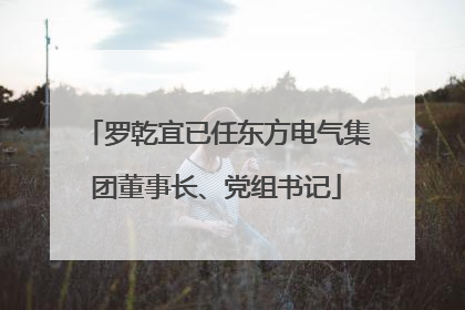 罗乾宜已任东方电气集团董事长、党组书记