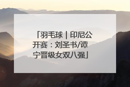 羽毛球｜印尼公开赛：刘圣书/谭宁晋级女双八强