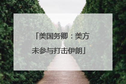 美国务卿：美方未参与打击伊朗