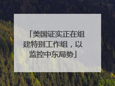 美国证实正在组建特别工作组，以监控中东局势