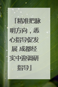 精准把脉明方向，悉心指导促发展 成都经实中迎调研指导