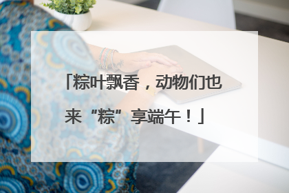 粽叶飘香，动物们也来“粽”享端午！