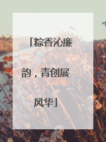 粽香沁廉韵，青创展风华
