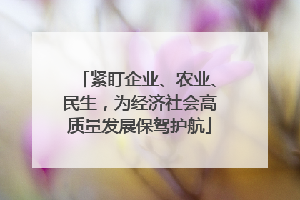 紧盯企业、农业、民生，为经济社会高质量发展保驾护航