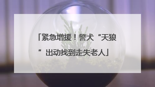 紧急增援！警犬“天狼”出动找到走失老人