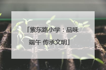 紫东路小学：品味端午 传承文明