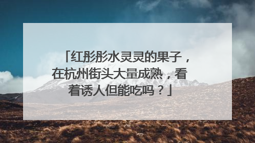 红彤彤水灵灵的果子，在杭州街头大量成熟，看着诱人但能吃吗？
