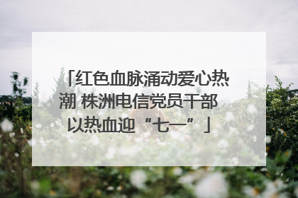 红色血脉涌动爱心热潮 株洲电信党员干部以热血迎“七一”