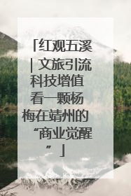 红观五溪｜文旅引流 科技增值 看一颗杨梅在靖州的“商业觉醒”