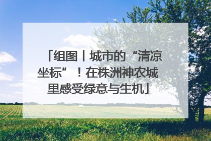 组图丨城市的“清凉坐标”！在株洲神农城里感受绿意与生机
