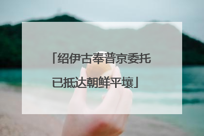 绍伊古奉普京委托已抵达朝鲜平壤