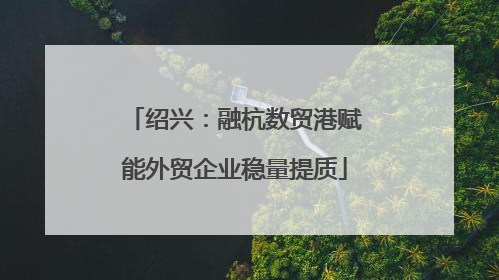 绍兴：融杭数贸港赋能外贸企业稳量提质