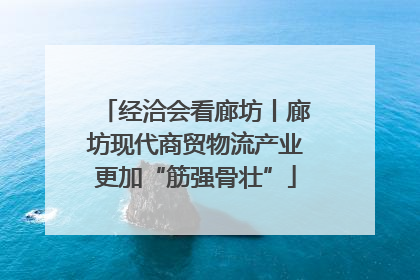 经洽会看廊坊丨廊坊现代商贸物流产业更加“筋强骨壮”