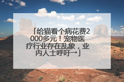 给猫看个病花费2000多元！宠物医疗行业存在乱象，业内人士呼吁→