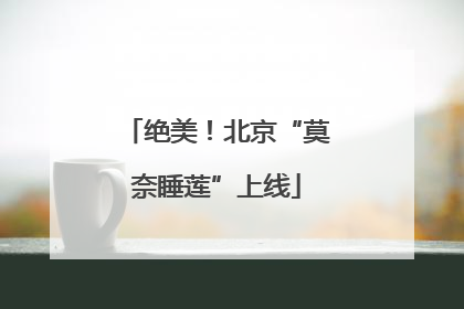 绝美！北京“莫奈睡莲”上线