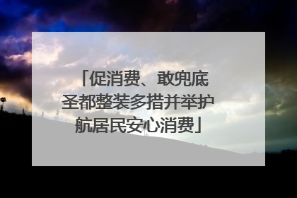 促消费、敢兜底 圣都整装多措并举护航居民安心消费