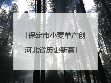保定市小麦单产创河北省历史新高
