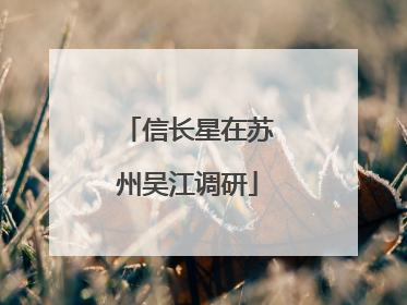 信长星在苏州吴江调研