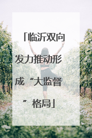 临沂双向发力推动形成“大监督”格局