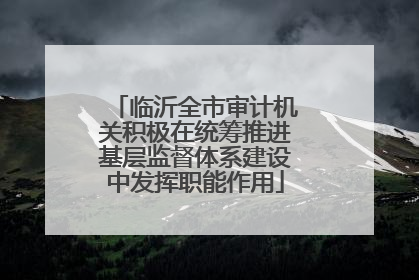 临沂全市审计机关积极在统筹推进基层监督体系建设中发挥职能作用