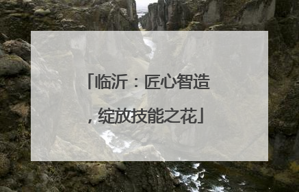 临沂：匠心智造，绽放技能之花