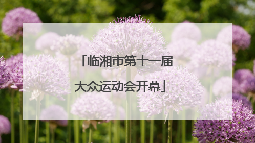 临湘市第十一届大众运动会开幕