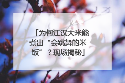 为何江汉大米能煮出“会跳舞的米饭”？现场揭秘