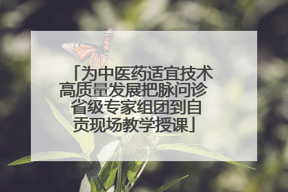 为中医药适宜技术高质量发展把脉问诊 省级专家组团到自贡现场教学授课