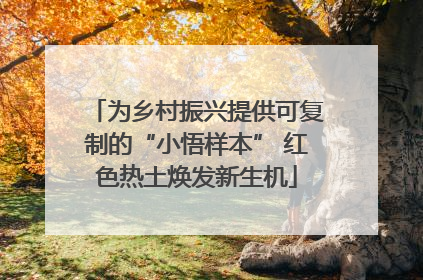 为乡村振兴提供可复制的“小悟样本” 红色热土焕发新生机