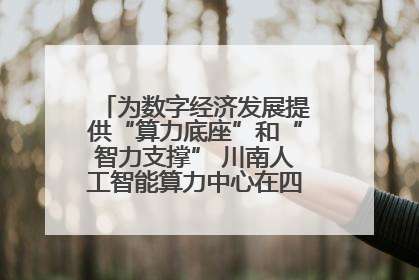 为数字经济发展提供“算力底座”和“智力支撑” 川南人工智能算力中心在四川泸州启动