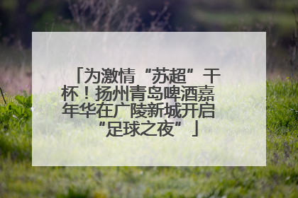 为激情“苏超”干杯！扬州青岛啤酒嘉年华在广陵新城开启“足球之夜”