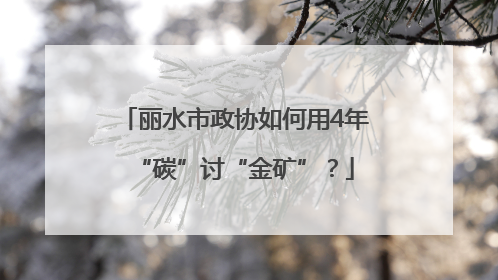 丽水市政协如何用4年“碳”讨“金矿”？