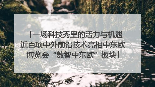 一场科技秀里的活力与机遇 近百项中外前沿技术亮相中东欧博览会“数智中东欧”板块