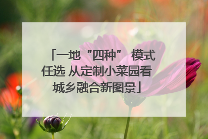 一地“四种” 模式任选 从定制小菜园看城乡融合新图景