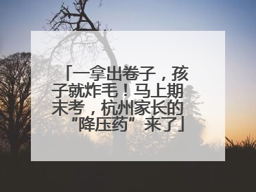 一拿出卷子，孩子就炸毛！马上期末考，杭州家长的“降压药”来了