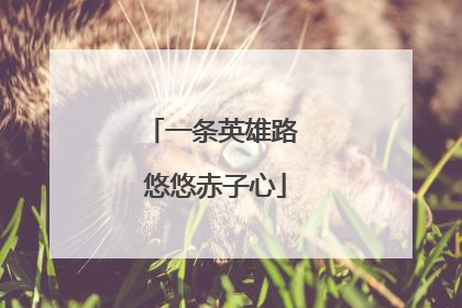 一条英雄路 悠悠赤子心