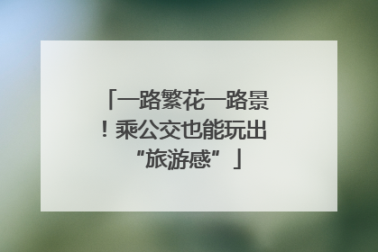 一路繁花一路景！乘公交也能玩出“旅游感”