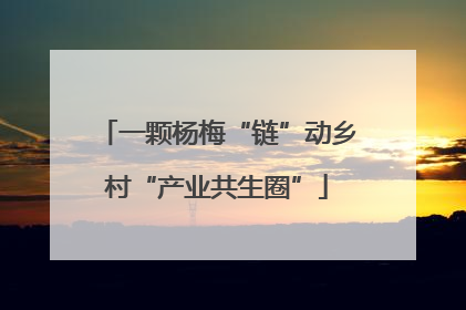 一颗杨梅“链”动乡村“产业共生圈”