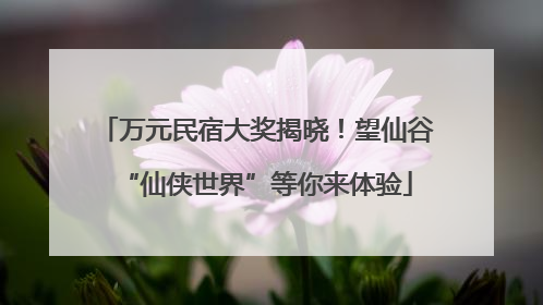 万元民宿大奖揭晓！望仙谷“仙侠世界”等你来体验
