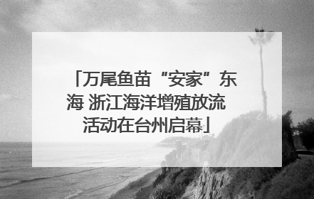 万尾鱼苗“安家”东海 浙江海洋增殖放流活动在台州启幕