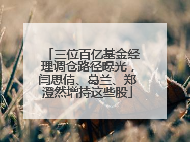 三位百亿基金经理调仓路径曝光，闫思倩、葛兰、郑澄然增持这些股